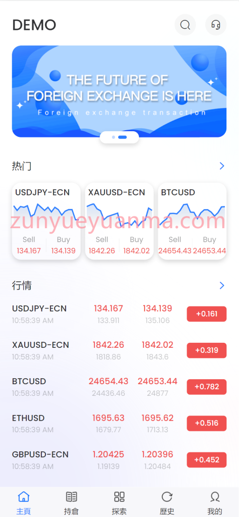 图片[3]-【商业收费源码】11国语言高端JAVA外汇炒股fx6系统下载-尊悦源码