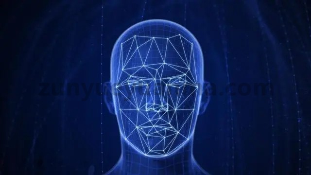 【商业收费源码】三色过AI人脸识别全套工具+教程下载-尊悦源码